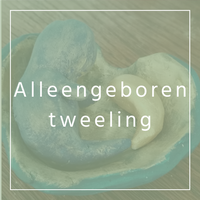 Alleengeboren tweeling